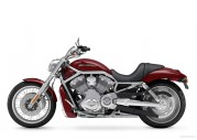 Harley-Davidson VRSCAW V-Rod